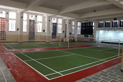 Badminton