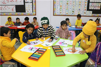 Kite Festival - Kite Festival